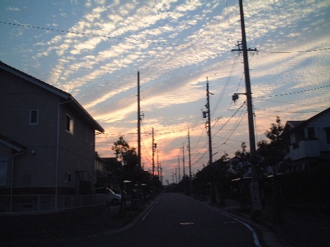 d0063263_11153251.jpg