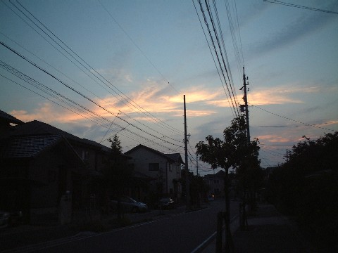 d0063263_1117175.jpg
