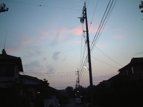 d0063263_11442638.jpg
