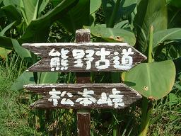 e0023164_21263791.jpg