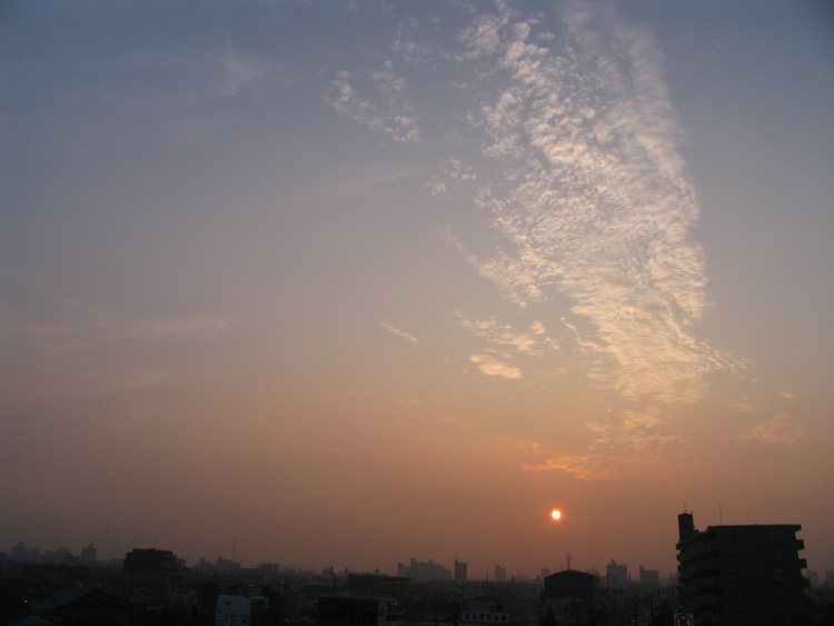 c0030874_884435.jpg