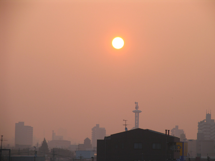 c0030874_885183.jpg