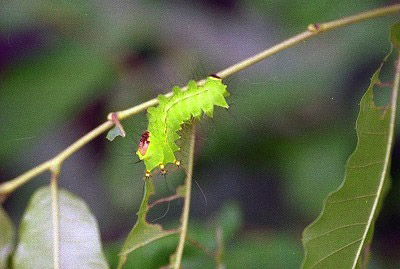 d0019074_8532378.jpg