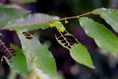d0019074_85349.jpg