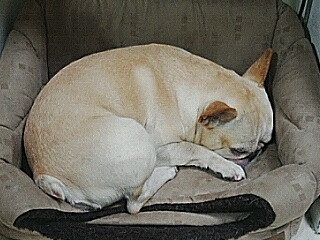 c0023399_23595099.jpg