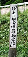 b0012811_23522273.jpg