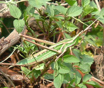 b0058229_15355099.jpg