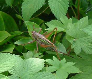 b0058229_15374552.jpg