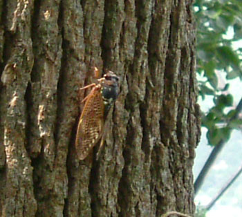 b0058229_15384568.jpg