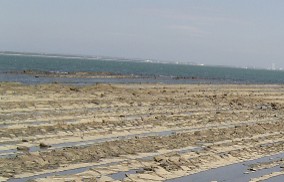 c0026629_9465936.jpg