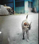 e0041329_1965199.jpg