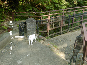 e0008833_16385330.jpg