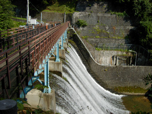 e0008833_1642397.jpg