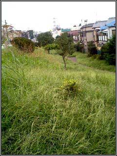 c0033145_13263426.jpg
