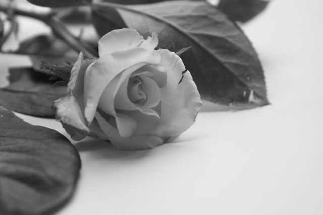 e0046147_21191933.jpg