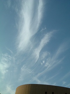 c0020653_16261397.jpg