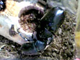 c0039153_19555483.jpg