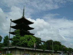 c0029455_1215171.jpg