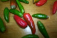 a0021670_1426111.jpg
