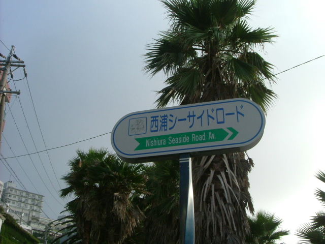 b0055171_16112879.jpg