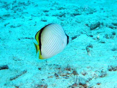 a0002177_2059575.jpg