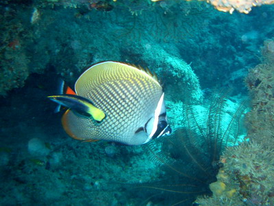 a0002177_2133981.jpg