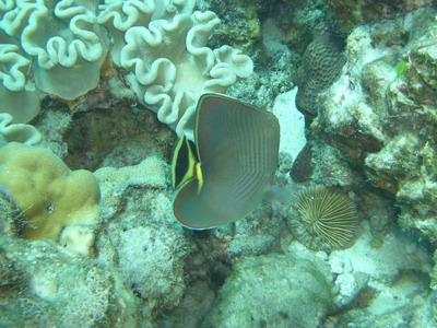 a0002177_2144941.jpg