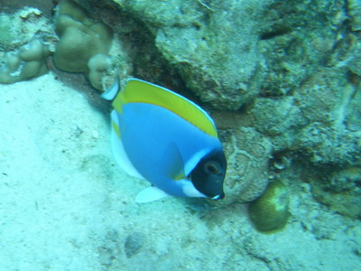 a0002177_2152172.jpg