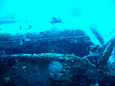 a0002177_2214155.jpg