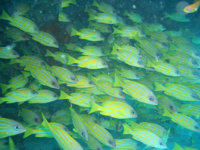 a0002177_2214545.jpg