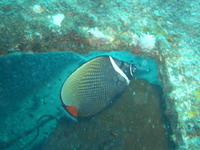 a0002177_2231876.jpg