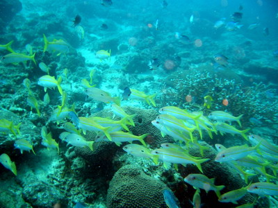 a0002177_2262712.jpg