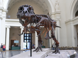 e0019280_1433173.jpg