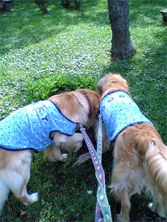c0068693_20274997.jpg