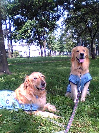 c0068693_20301717.jpg