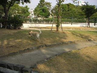 a0018200_16213267.jpg