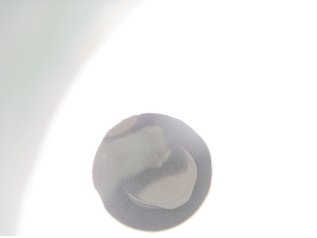 a0018200_1847388.jpg