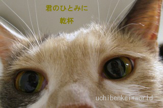 a0034419_12541459.jpg