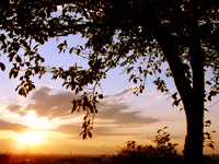b0000126_1713654.jpg