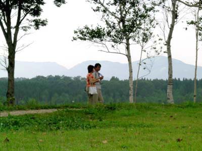d0029829_1746989.jpg