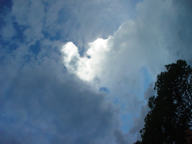 c0071839_1333558.jpg