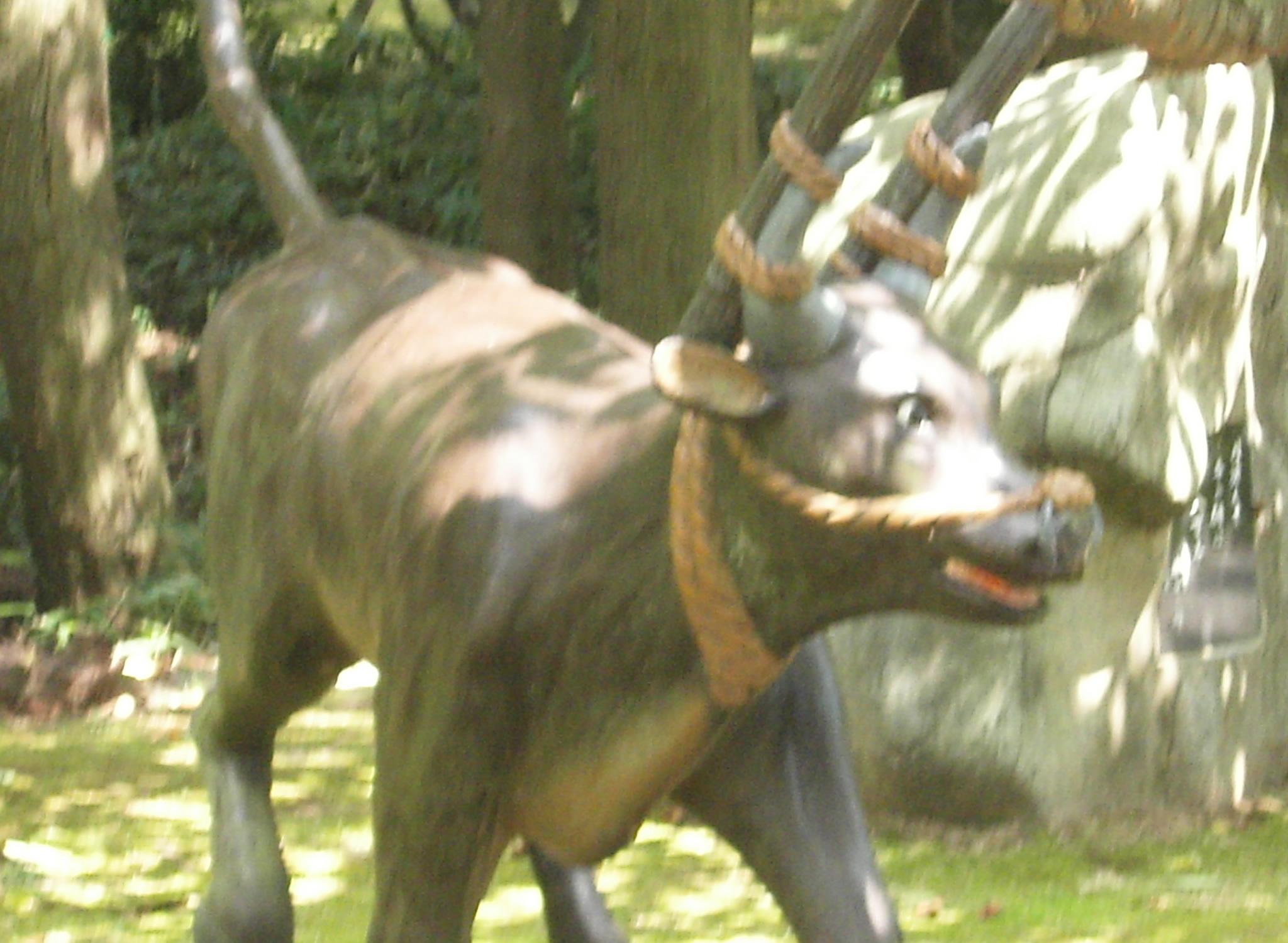 c0026846_21143834.jpg