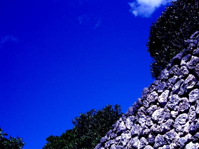 d0065247_0374100.jpg