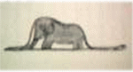 c0025852_13572713.gif