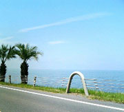 d0013854_12121623.jpg