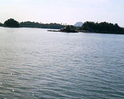 d0013854_12342076.jpg