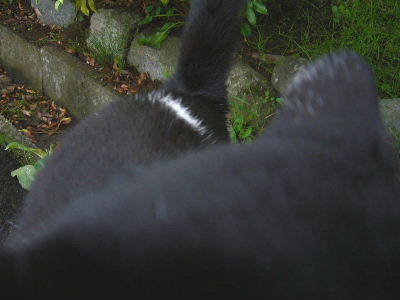 b0015260_7591750.jpg