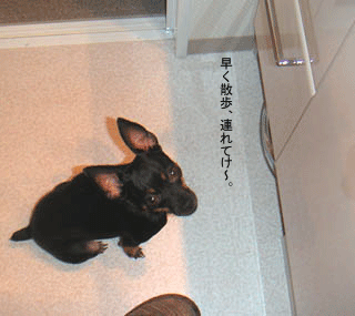c0012571_1183483.gif