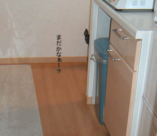 c0012571_1193871.gif