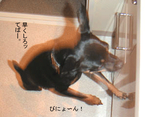 c0012571_119956.gif